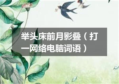 举头床前月影叠（打一网络电脑词语）