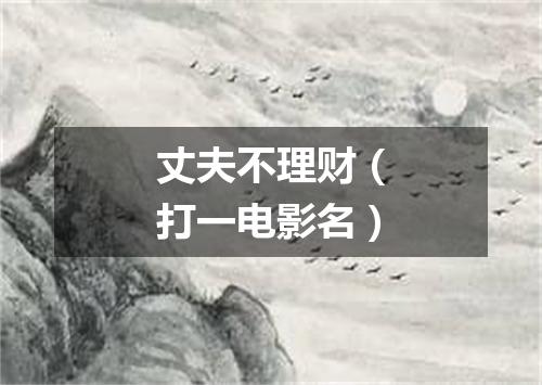 丈夫不理财（打一电影名）
