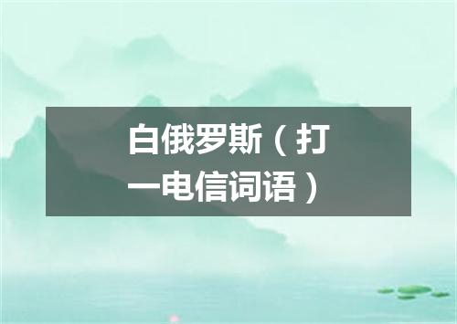 白俄罗斯（打一电信词语）