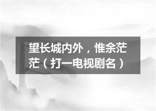 望长城内外，惟余茫茫（打一电视剧名）