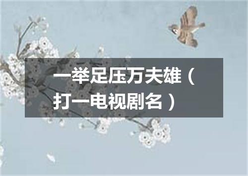 一举足压万夫雄（打一电视剧名）