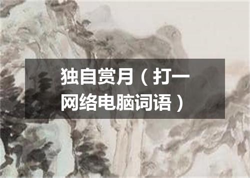 独自赏月（打一网络电脑词语）