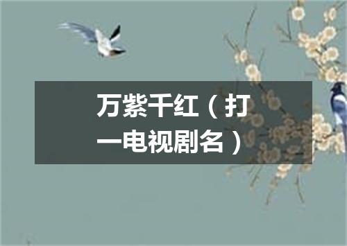 万紫千红（打一电视剧名）