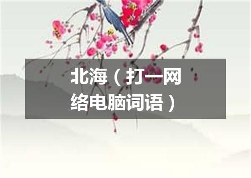 北海（打一网络电脑词语）