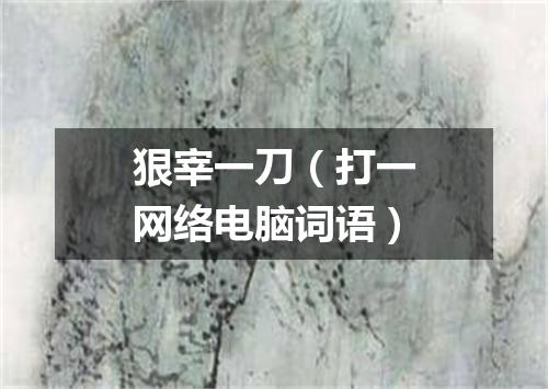 狠宰一刀（打一网络电脑词语）