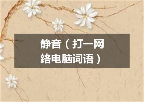 静音（打一网络电脑词语）