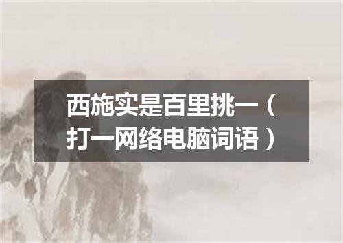 西施实是百里挑一（打一网络电脑词语）
