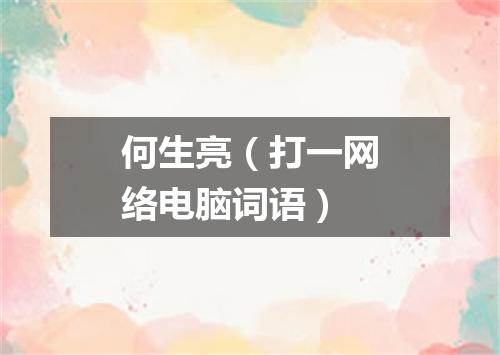何生亮（打一网络电脑词语）