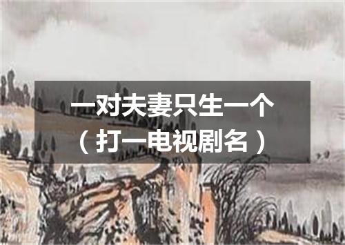 一对夫妻只生一个（打一电视剧名）