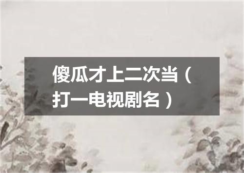 傻瓜才上二次当（打一电视剧名）