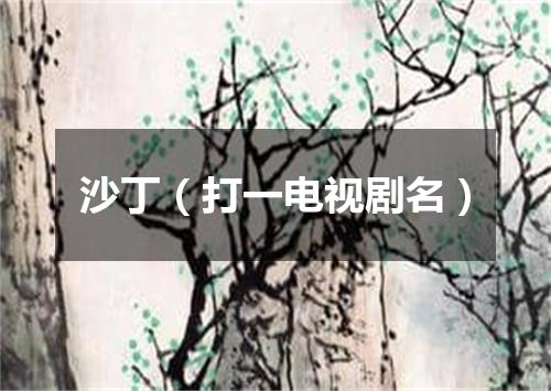沙丁（打一电视剧名）