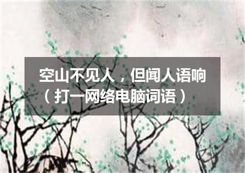 空山不见人，但闻人语响（打一网络电脑词语）
