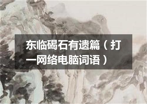 东临碣石有遗篇（打一网络电脑词语）