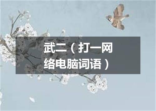 武二（打一网络电脑词语）