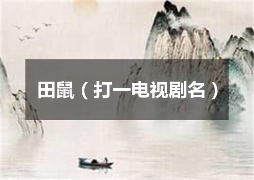 田鼠（打一电视剧名）