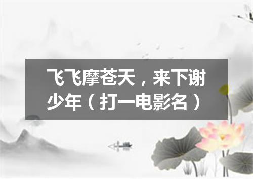 飞飞摩苍天，来下谢少年（打一电影名）