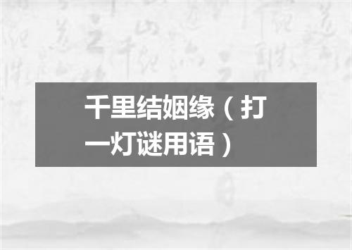 千里结姻缘（打一灯谜用语）