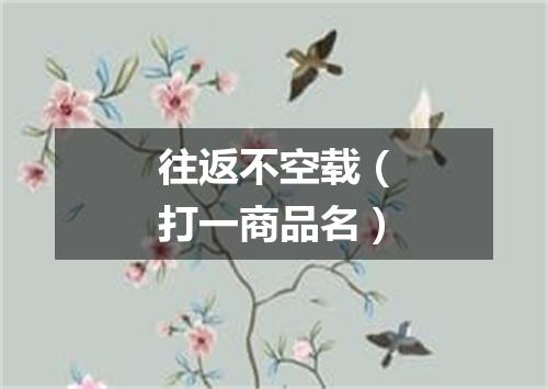 往返不空载（打一商品名）