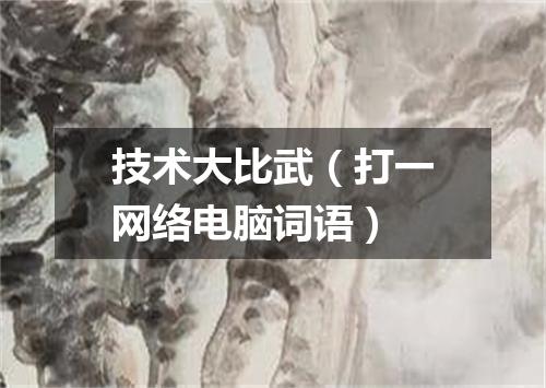 技术大比武（打一网络电脑词语）
