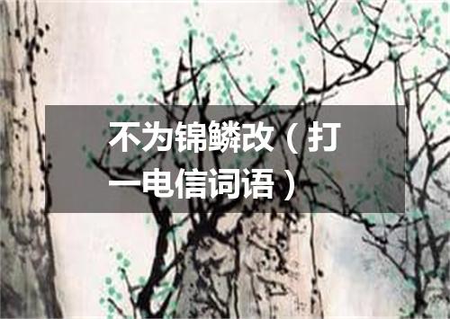 不为锦鳞改（打一电信词语）