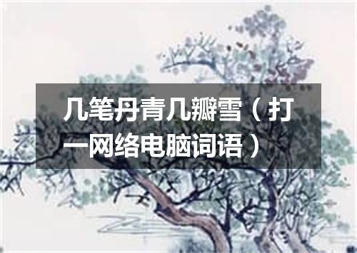 几笔丹青几瓣雪（打一网络电脑词语）
