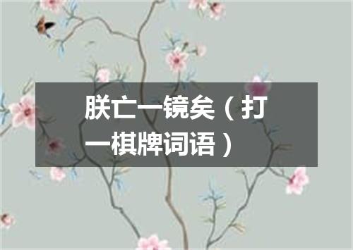 朕亡一镜矣（打一棋牌词语）