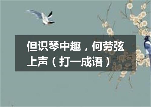 但识琴中趣，何劳弦上声（打一成语）