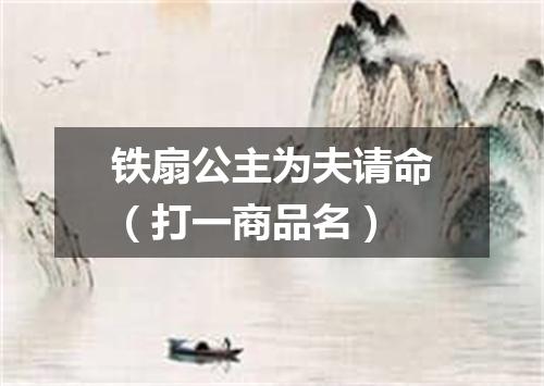 铁扇公主为夫请命（打一商品名）