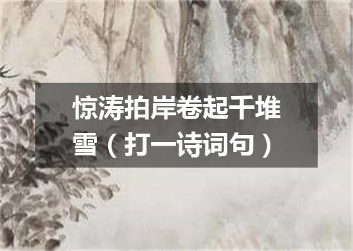 惊涛拍岸卷起千堆雪（打一诗词句）