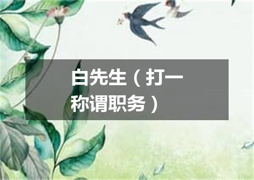 白先生（打一称谓职务）
