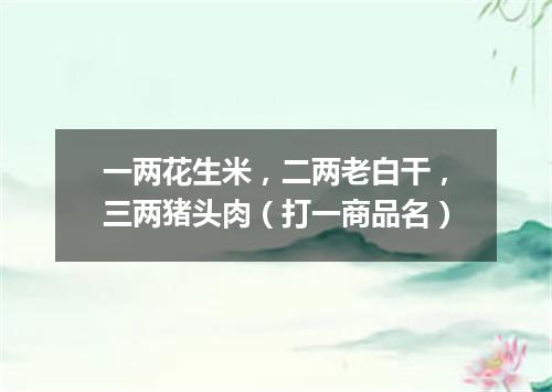一两花生米，二两老白干，三两猪头肉（打一商品名）