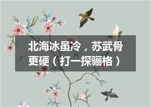 北海冰虽冷，苏武骨更硬（打一探骊格）