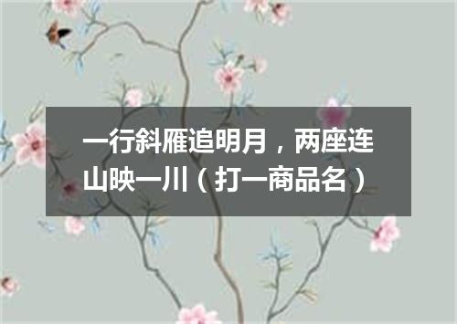 一行斜雁追明月，两座连山映一川（打一商品名）