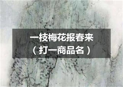一枝梅花报春来（打一商品名）