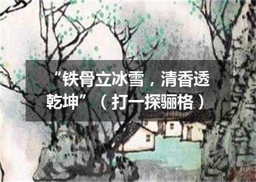 “铁骨立冰雪，清香透乾坤”（打一探骊格）