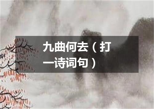 九曲何去（打一诗词句）