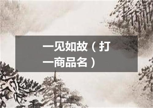 一见如故（打一商品名）