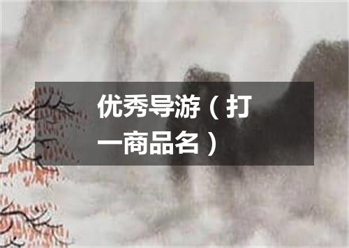 优秀导游（打一商品名）