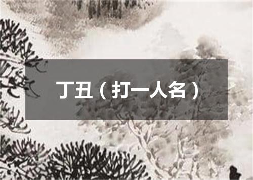 丁丑（打一人名）