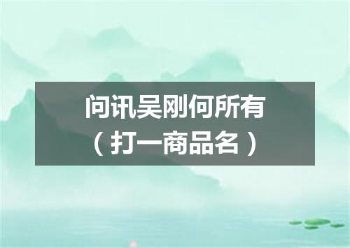 问讯吴刚何所有（打一商品名）