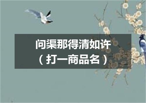 问渠那得清如许（打一商品名）