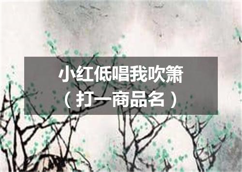 小红低唱我吹箫（打一商品名）