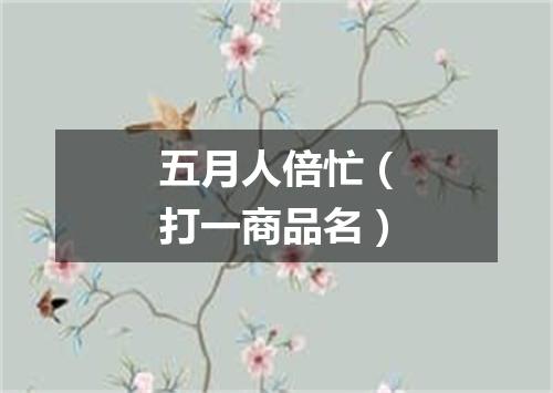 五月人倍忙（打一商品名）
