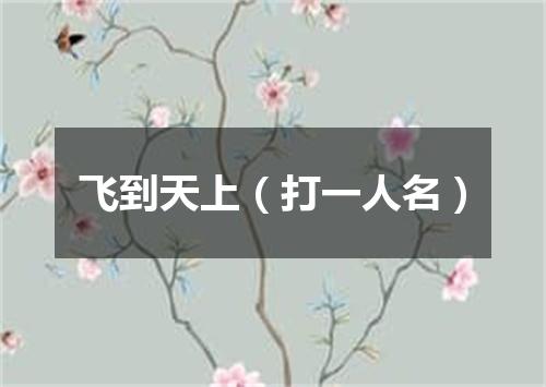 飞到天上（打一人名）