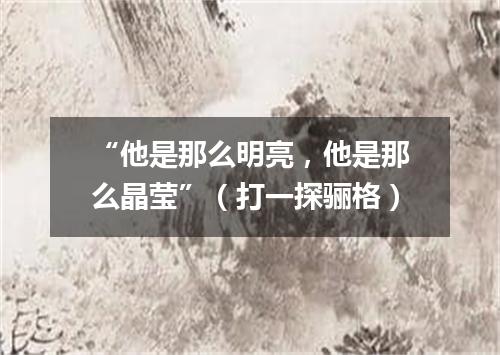 “他是那么明亮，他是那么晶莹”（打一探骊格）