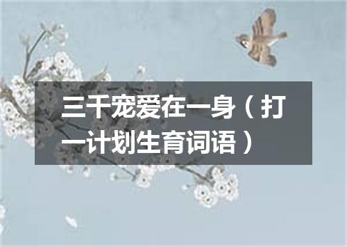 三千宠爱在一身（打一计划生育词语）