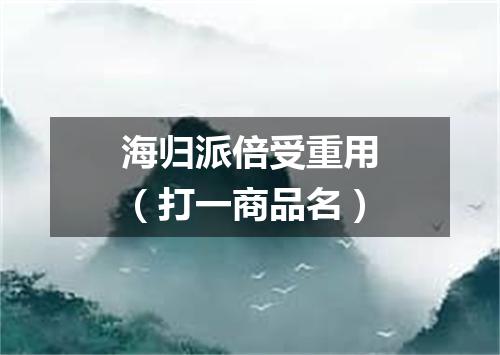 海归派倍受重用（打一商品名）