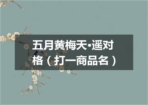 五月黄梅天·遥对格（打一商品名）