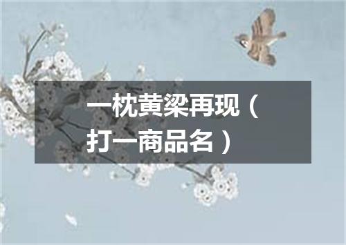 一枕黄梁再现（打一商品名）