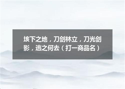 垓下之地，刀剑林立，刀光剑影，逃之何去（打一商品名）